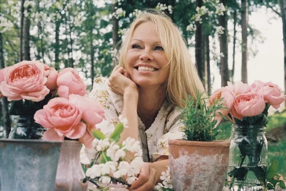  Памела Андерсън ентусиазъм 