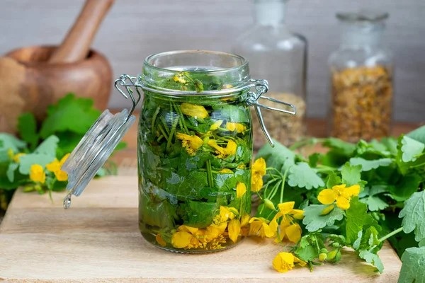 буркан змийско мляко