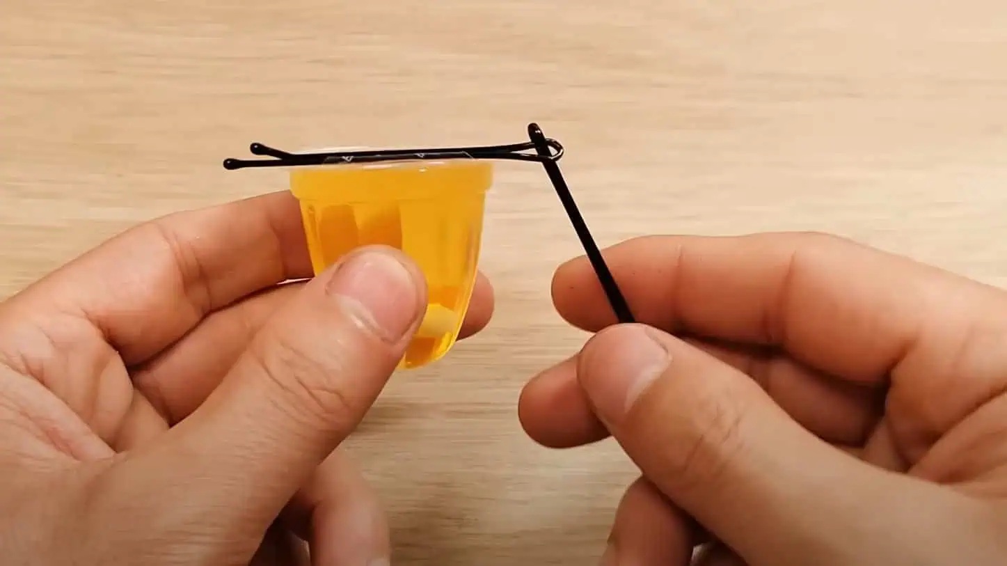 фиби употреба