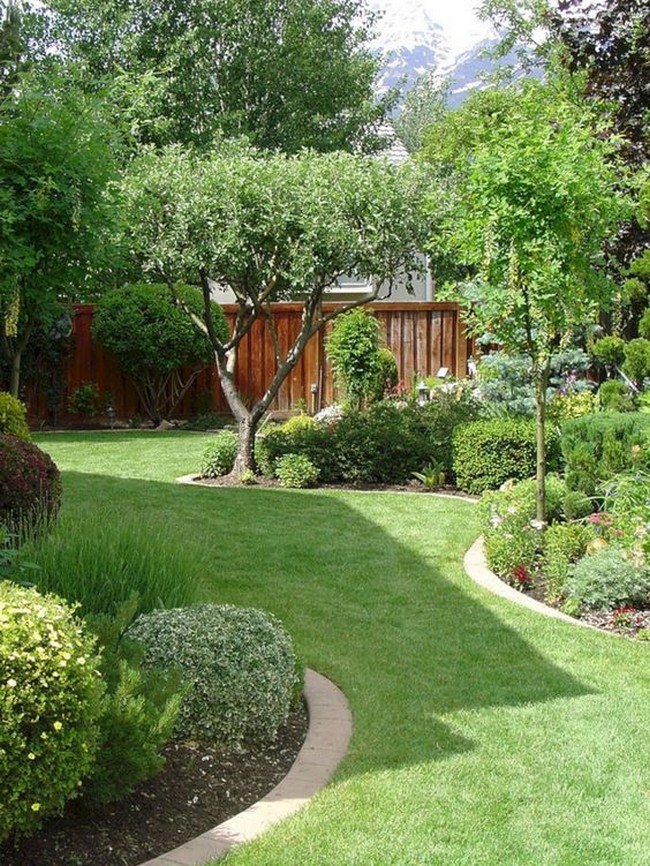 малък зелен двор