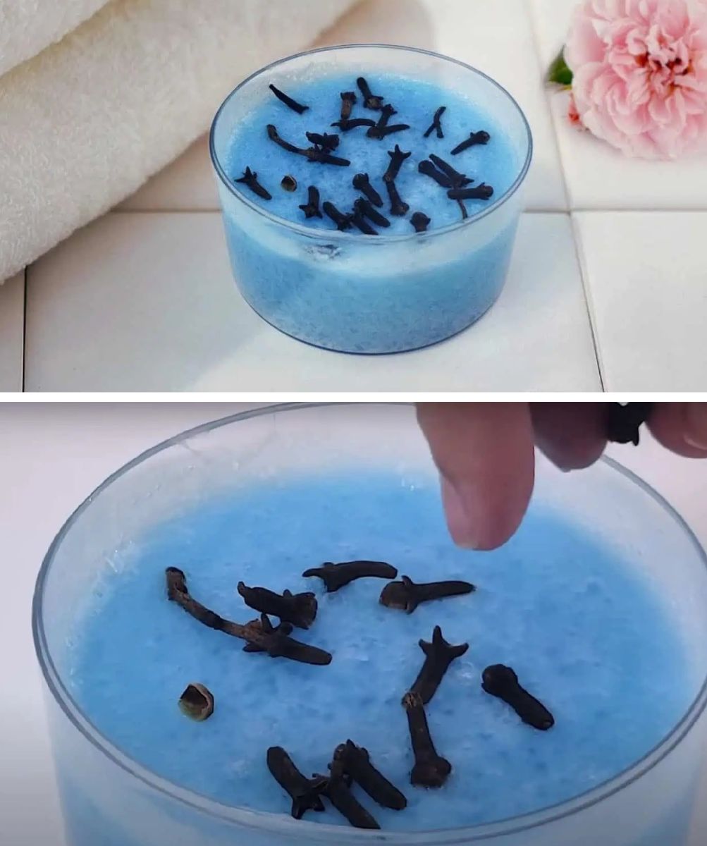 карамфил в купа