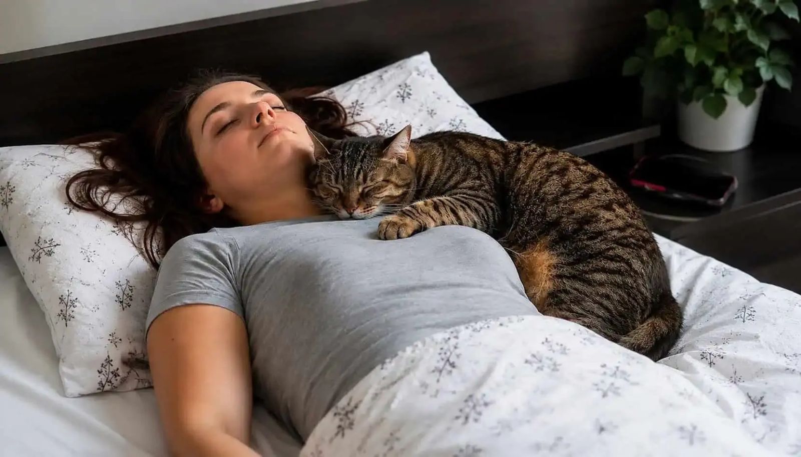 котка на гърдите
