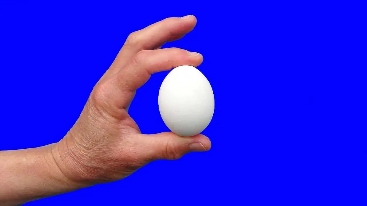 egg raw