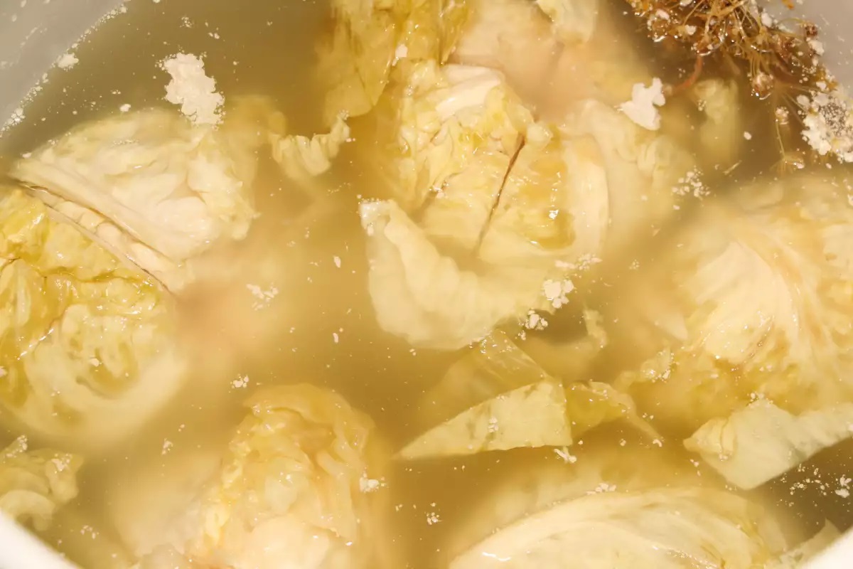 налеп кисело зеле