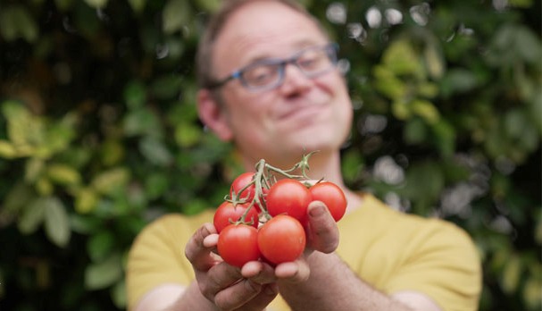 шепа домати