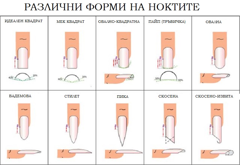 различни форми на ноктите