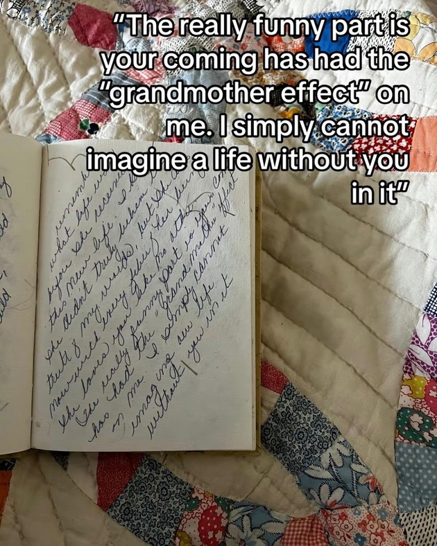 баба води дневник