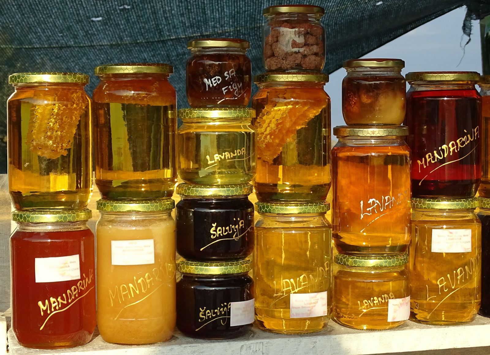 видове мед