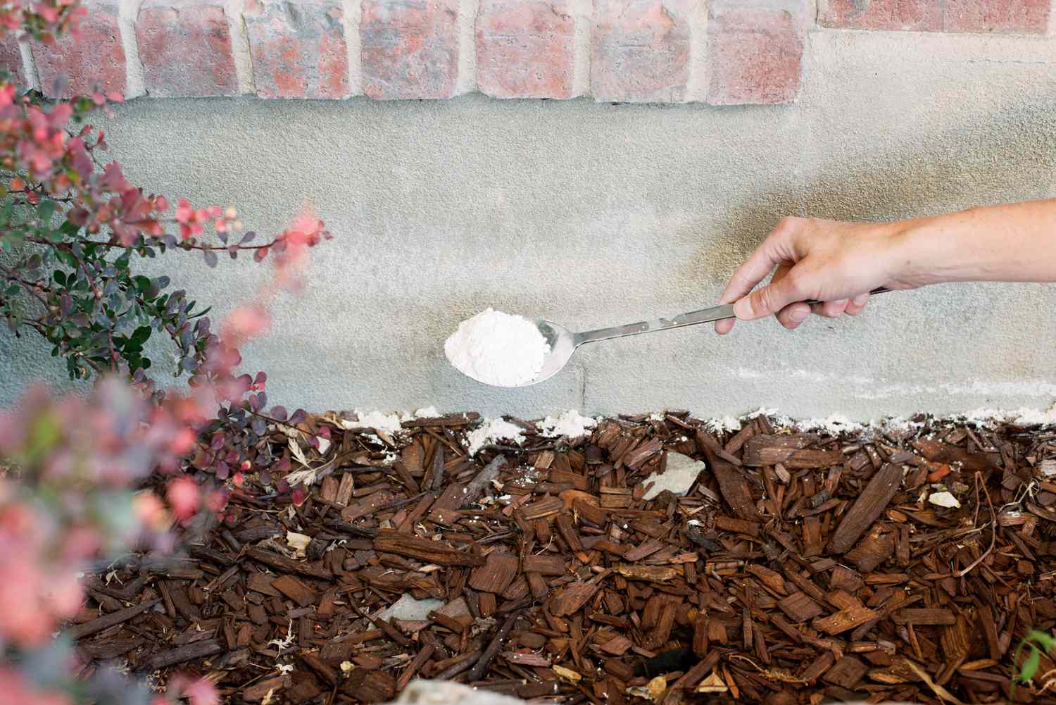 тебешир срещу мравки