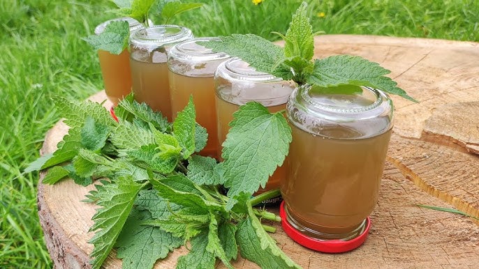 коприва сироп,600