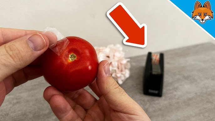 домати и тиксо