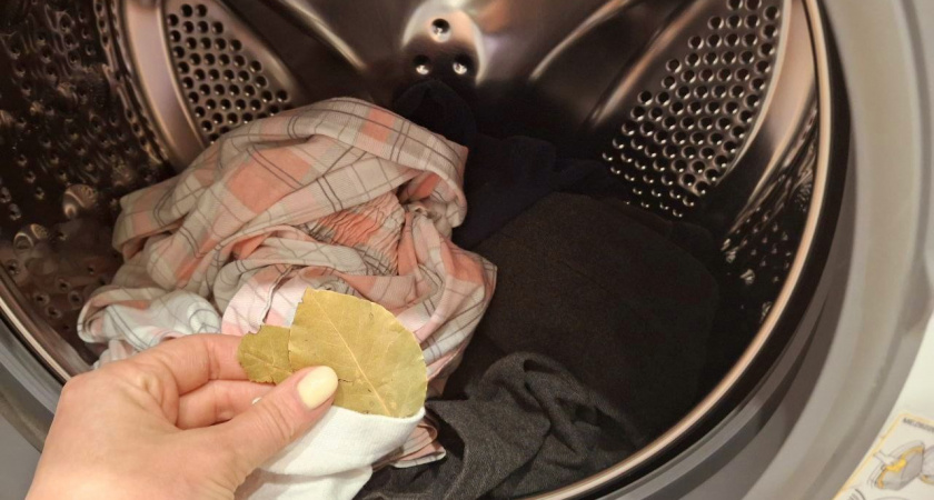 дафинов лист в пералнята