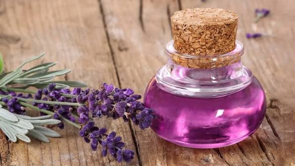 lavender oil