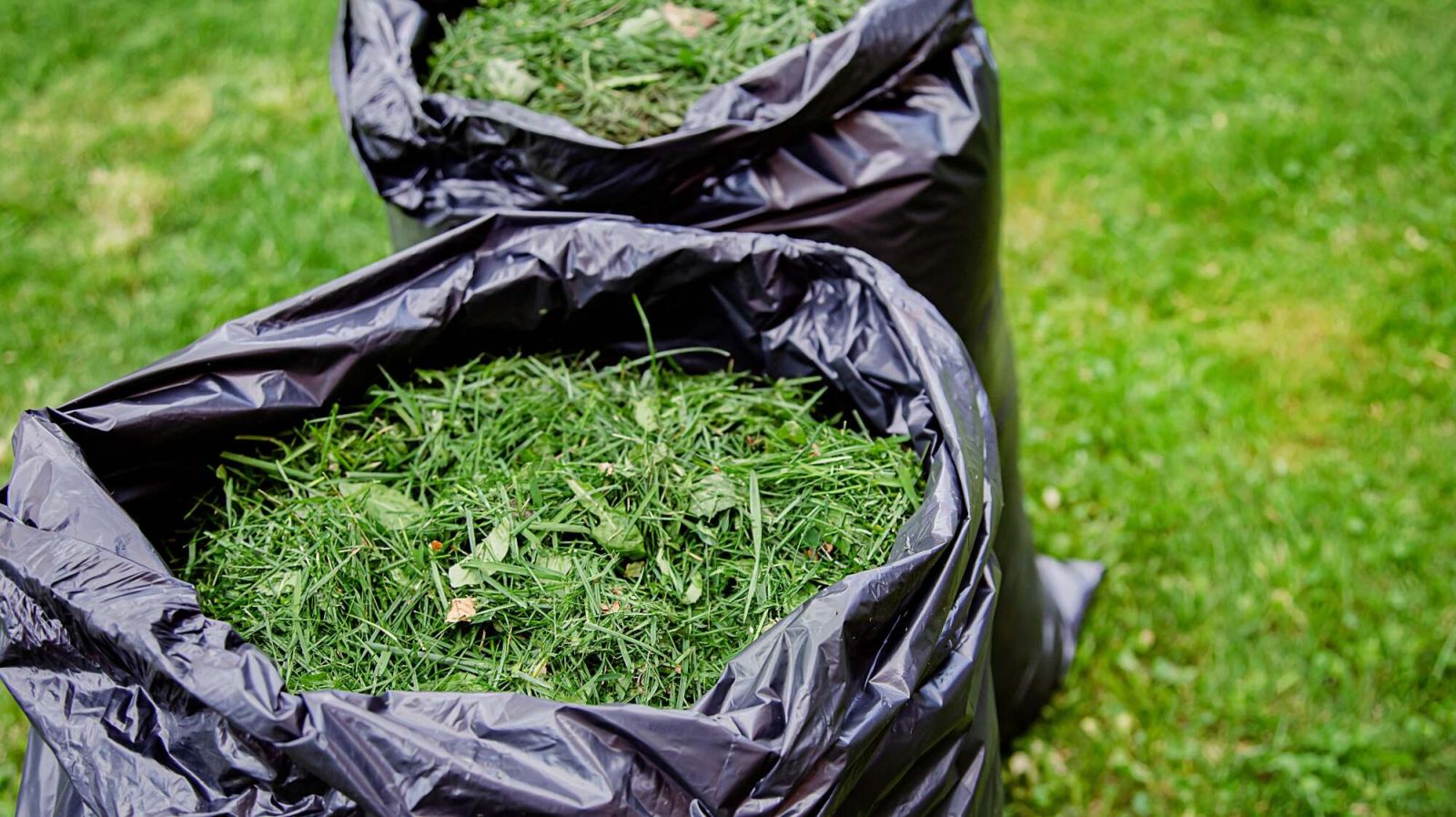 трева в чували