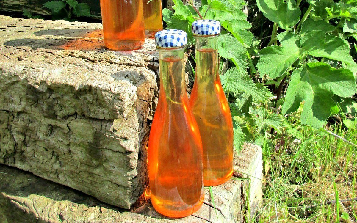 сироп от коприва