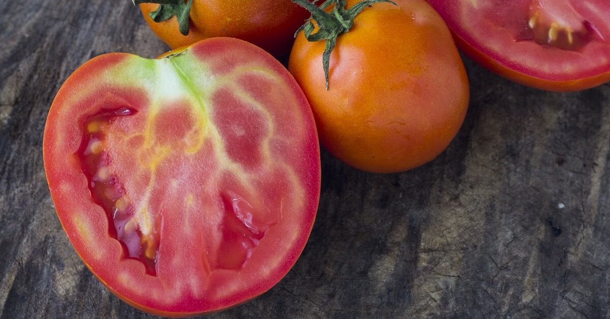 домат пестициди признаци