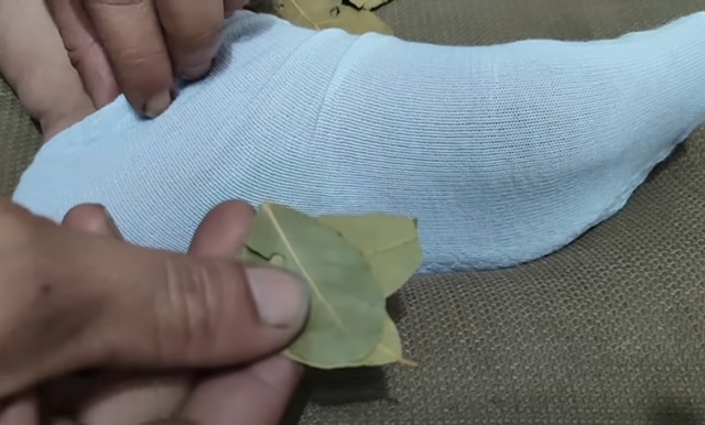 дафинов лист в чорапа