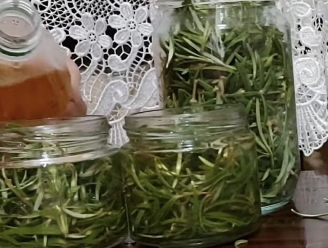 розмарин в оцет ползи