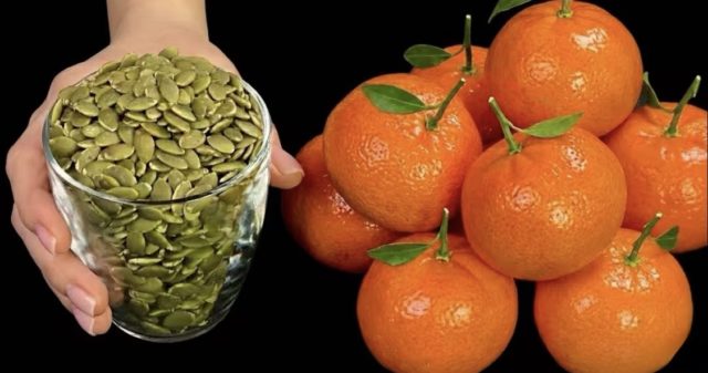 продукти напитка