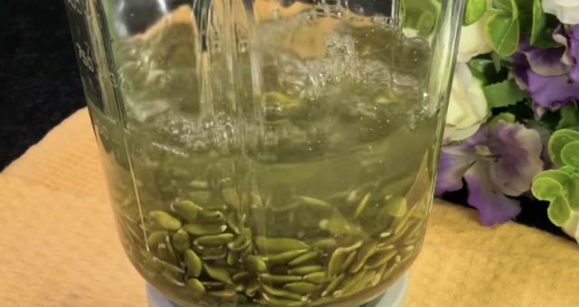 тиквено семе във вода