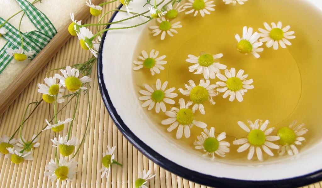 отвара лайка