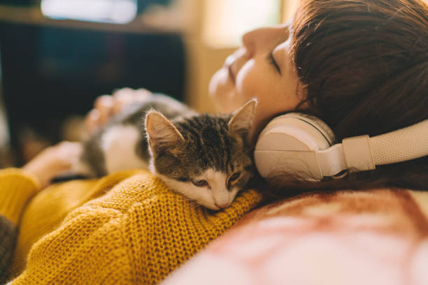 котка на рамото