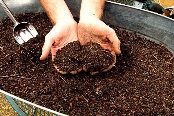 почва за растения