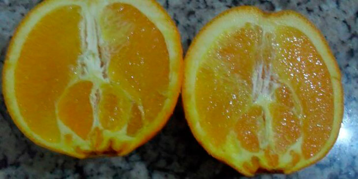 избор на портокали