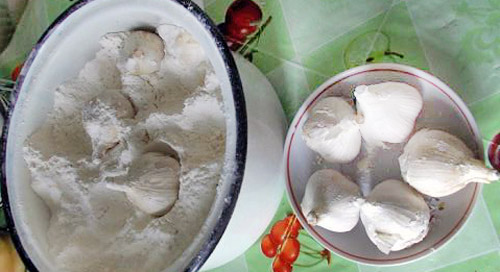 съхранение чесън