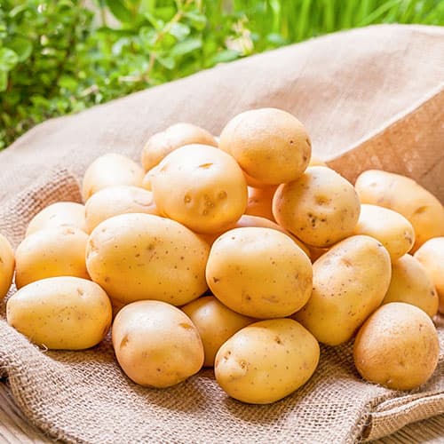carrera potatoes