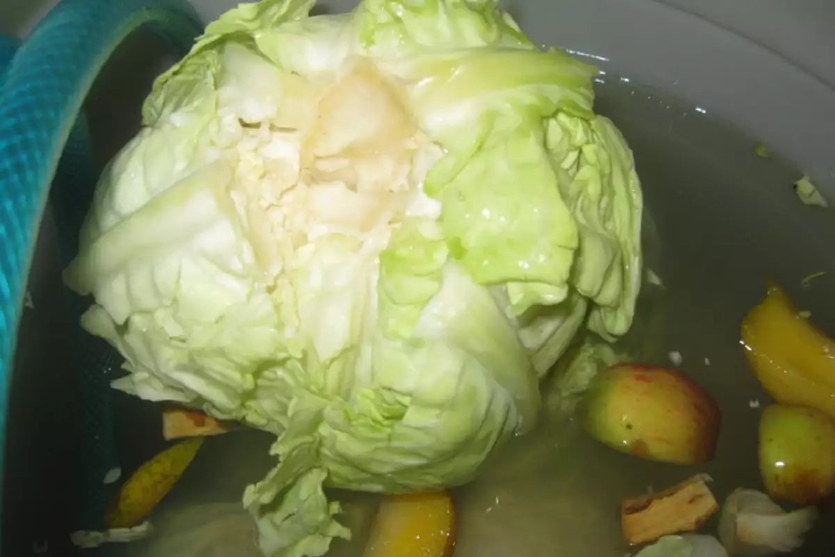  ябълки в бидона със зелето 