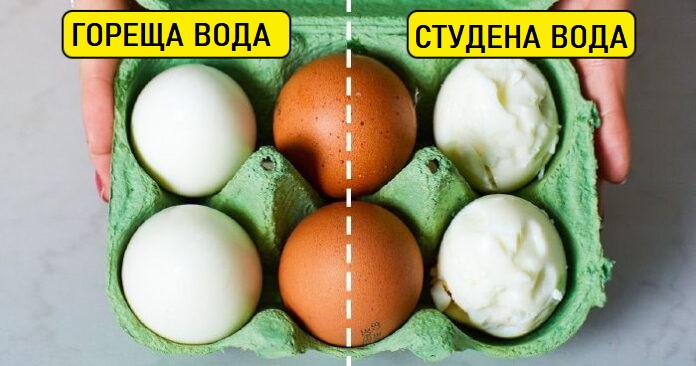 яйца белене