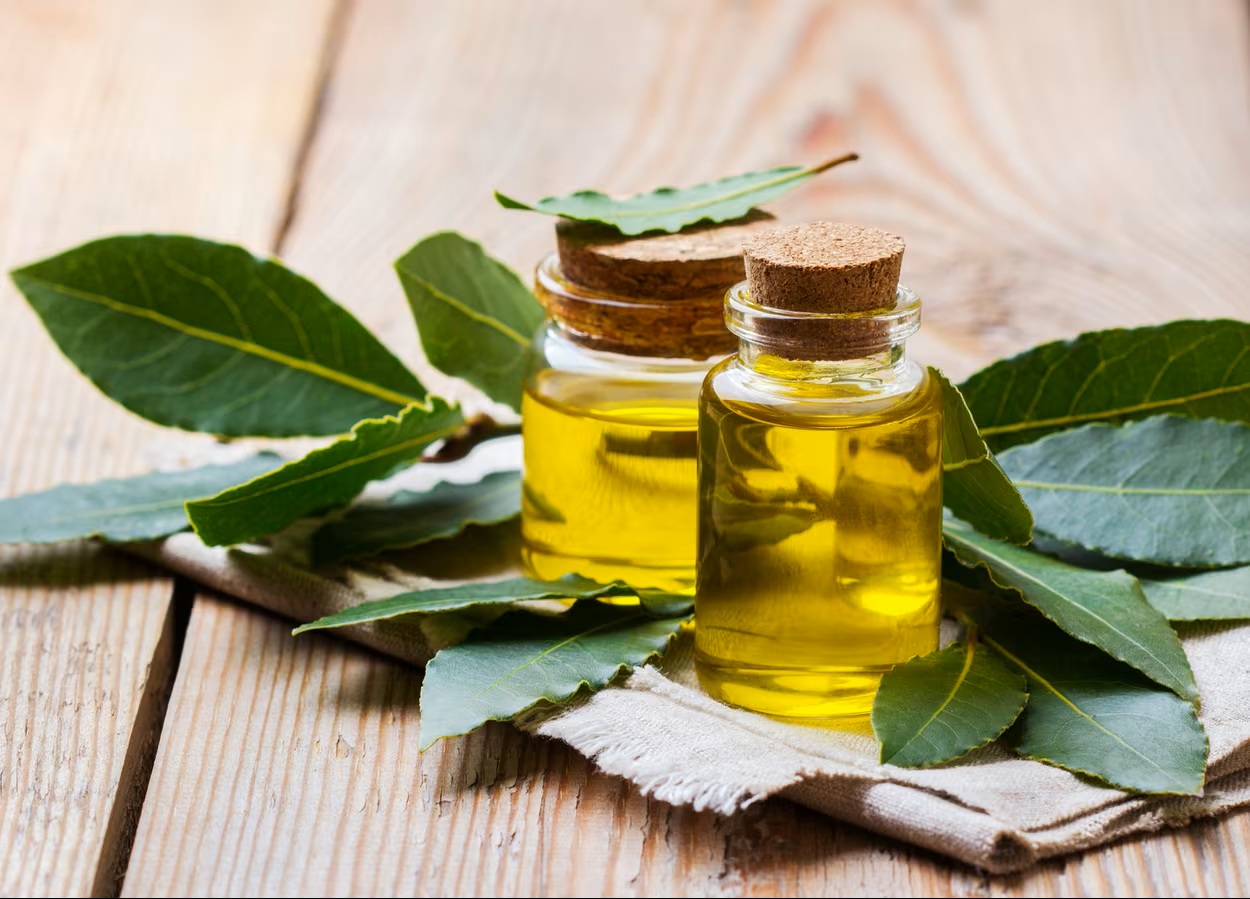 масло дафина