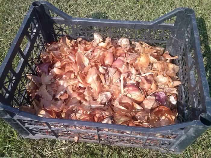 щайга лучени обелки