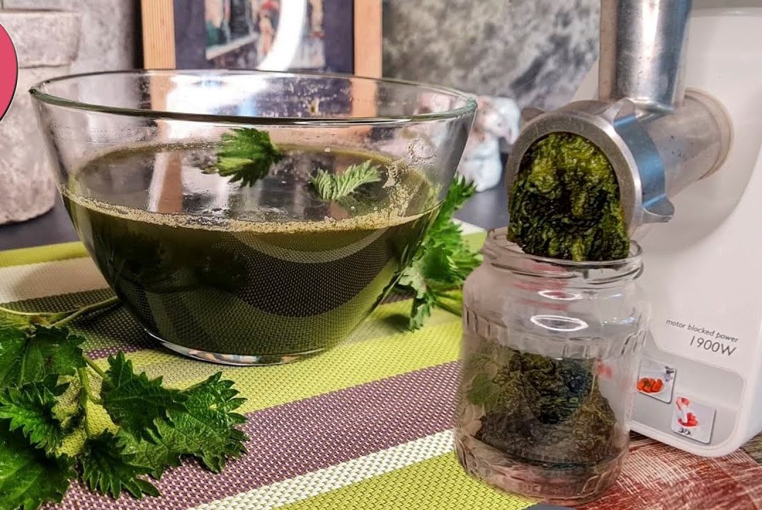 коприва използване