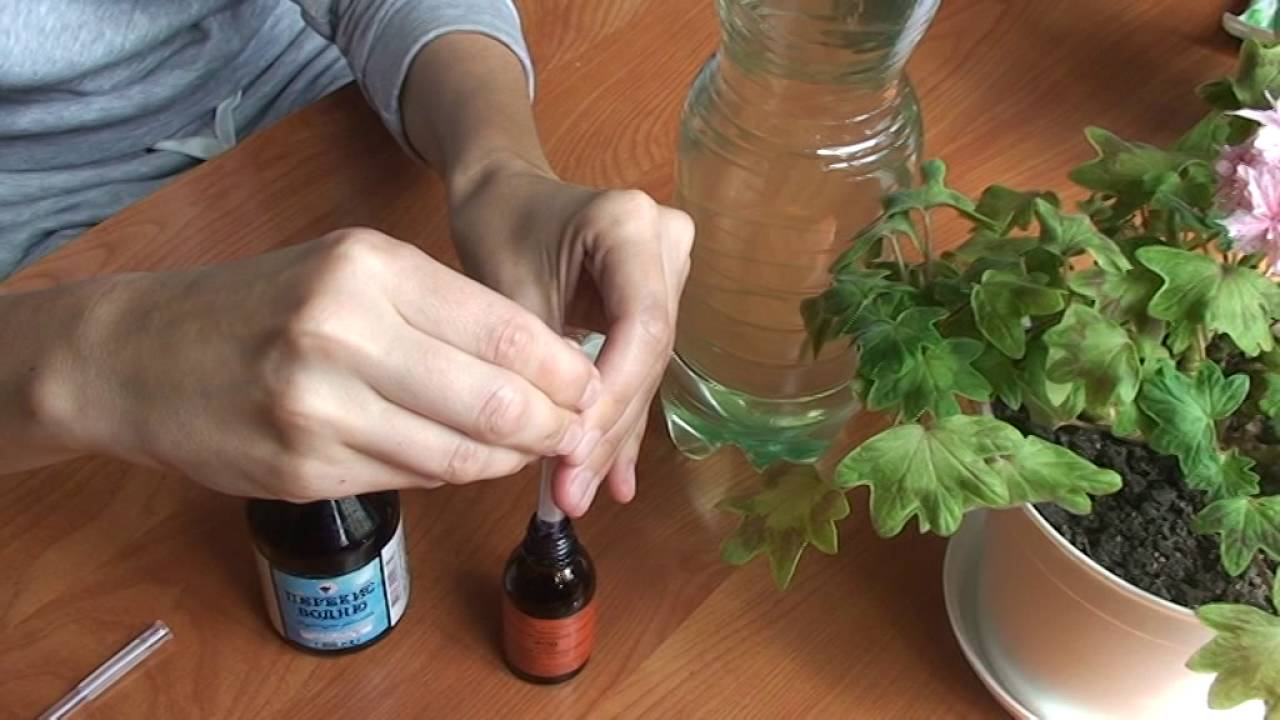 йод за мушкатото