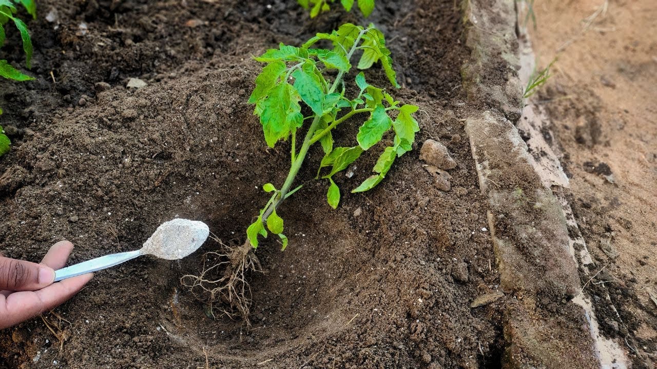 английска сол в дупката