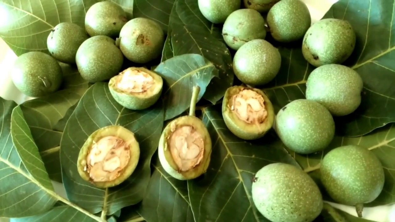 зелени орехи ядки