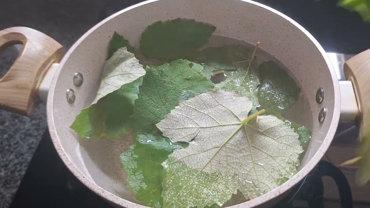 лозови листа във вода