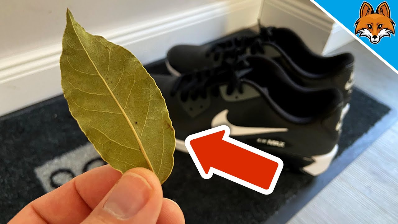 дафинов лист в обувките
