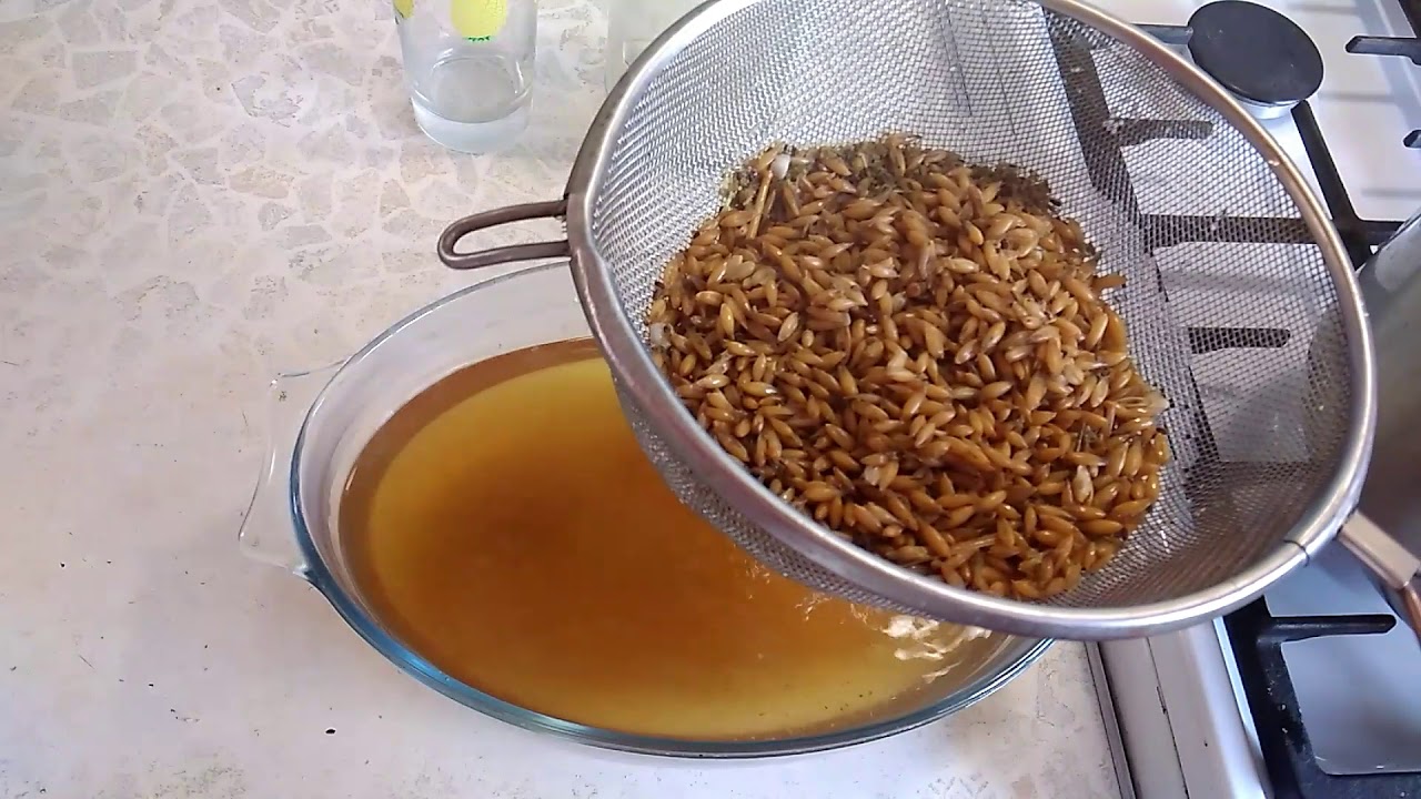 чай от овесени зърна