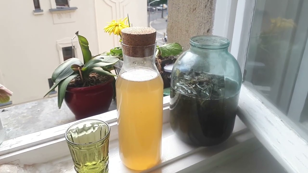 домашен сироп коприва