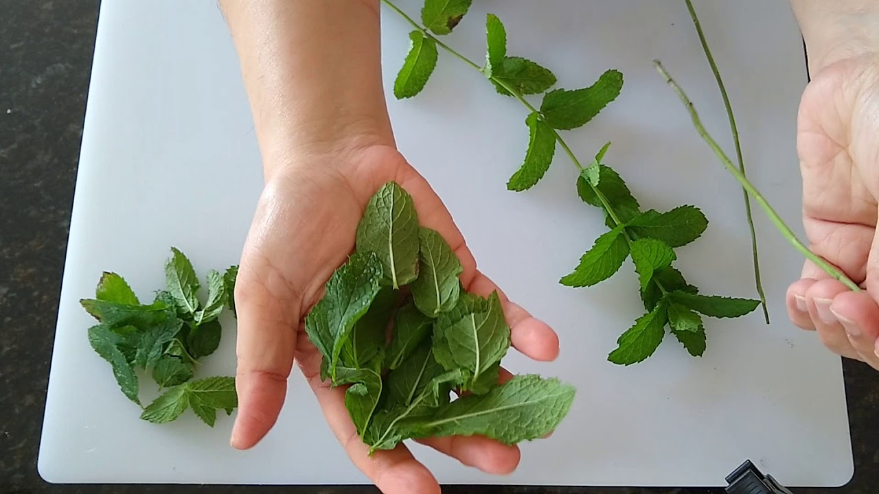 peppermint leaves