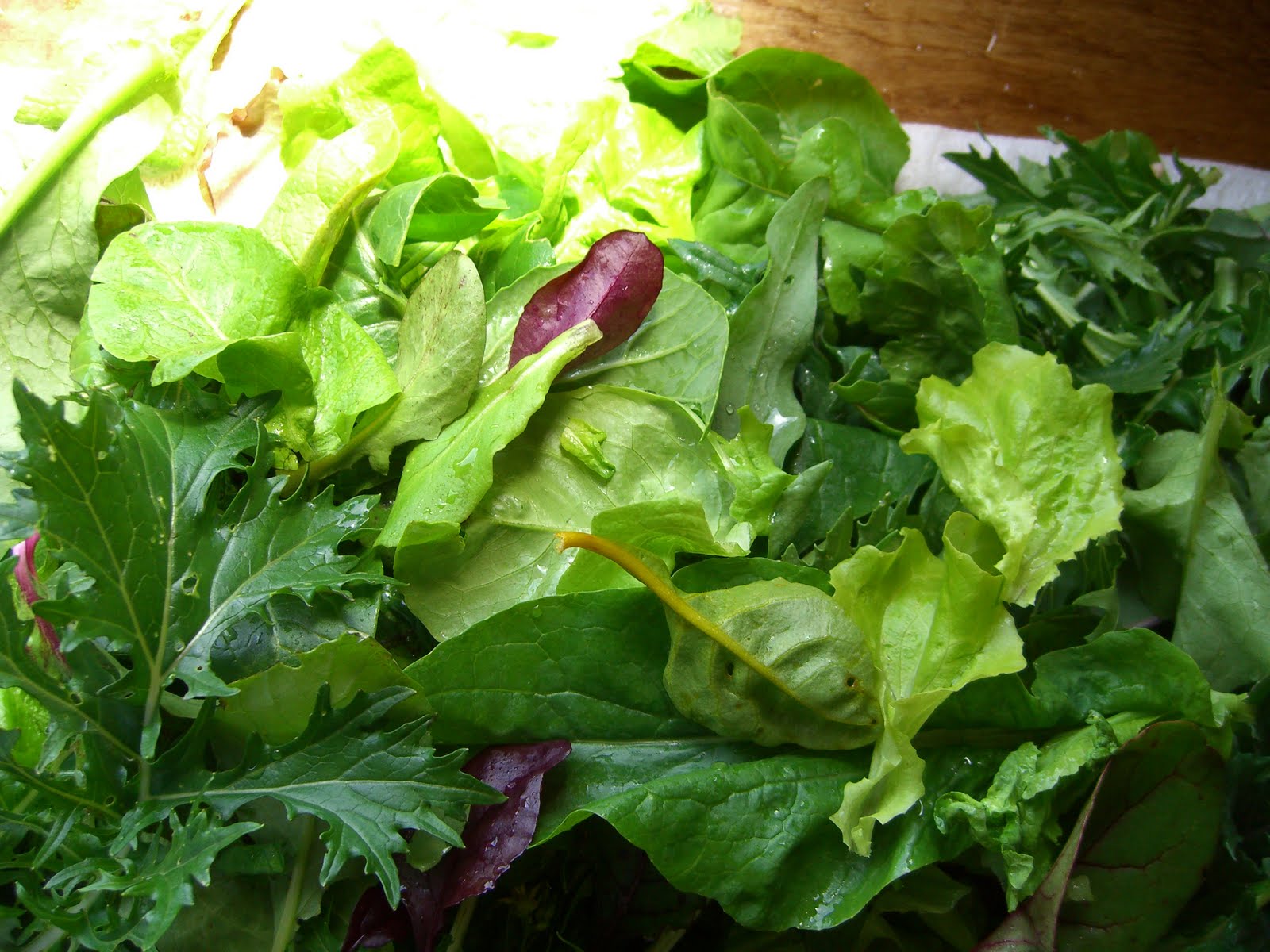 полезните свойства на зелената салата