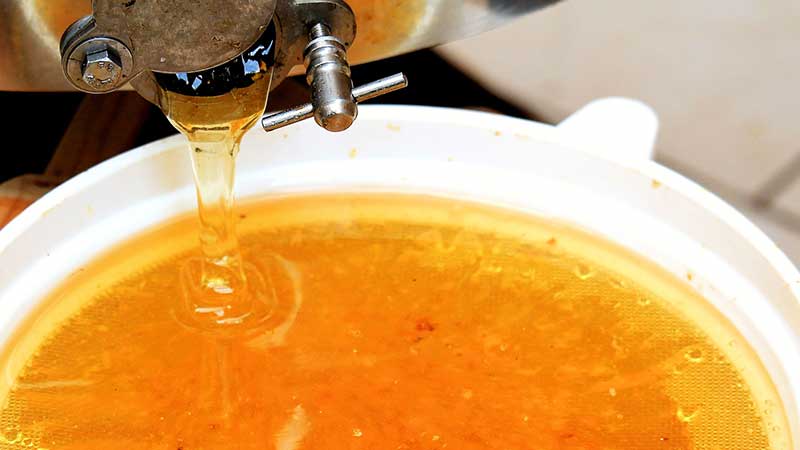  плътност на меда 