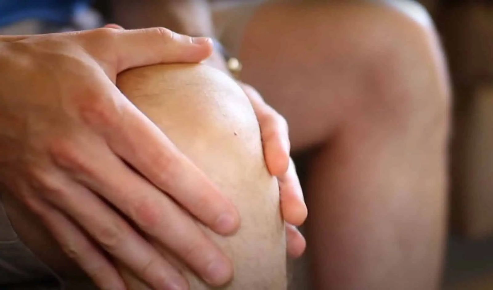 сушени сливи