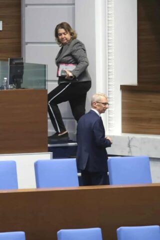 Киселова анцуг