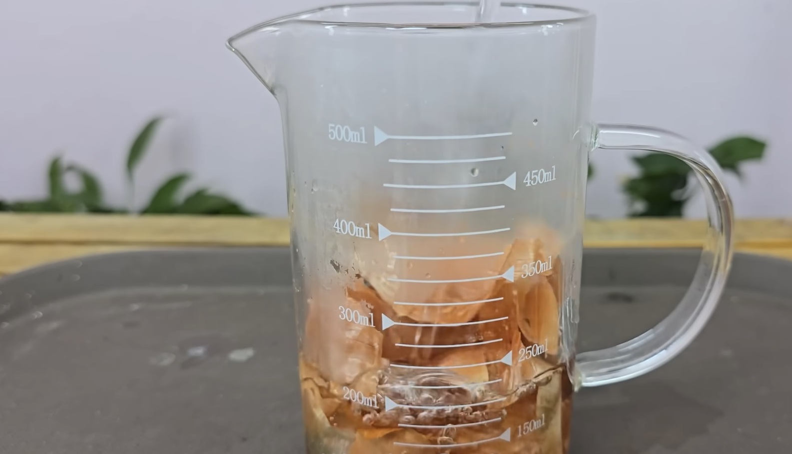 лук във вода