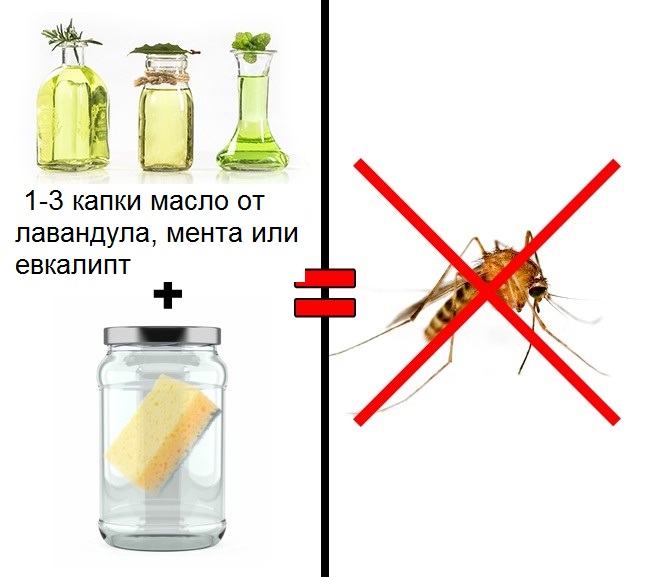 средство против мравки
