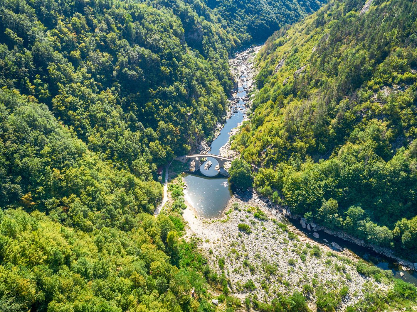 река Арда меандри